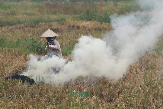 Many rural areas suffer severe air pollution