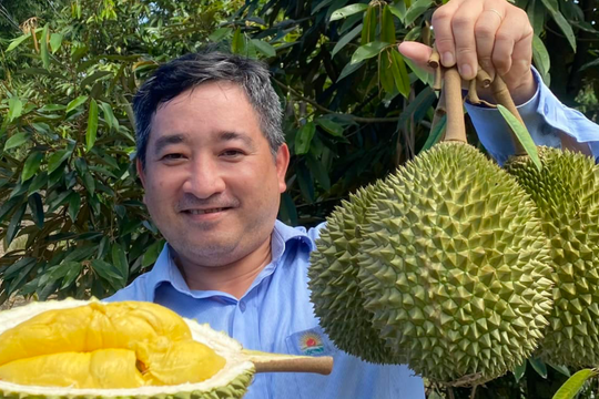 'Vua trái cây' lập kỷ lục, nông dân chia nhau hàng chục nghìn tỷ