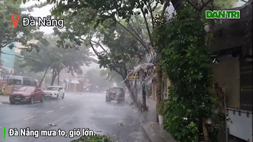 Đà Nẵng mưa lớn gió lớn, người dân hối hả đi mua đồ chống bão