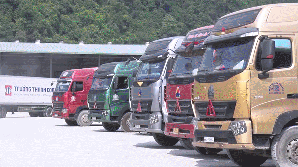 Cửa khẩu Tân Thanh- Lạng Sơn: Lái xe ăn, ngủ tại bến để đợi thông quan