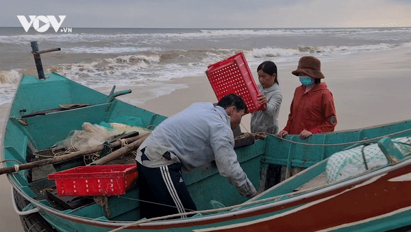 Ngư dân Quảng Bình được mùa ruốc đầu năm mới