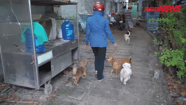 Video: 'Vương quốc' chó mèo của người phụ nữ bán hủ tiếu