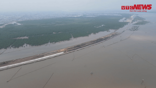 Video: 'Bức tường' khổng lồ chắn gió bão cấp 12 ở Ninh Bình