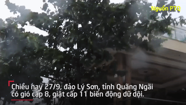 Video: Gió bão giật cấp 11 ở đảo Lý Sơn, biển động dữ dội