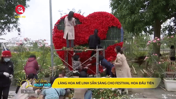Hà Nội: Làng hoa Mê Linh sẵn sàng cho festival hoa đầu tiên