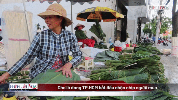 Video: Chợ lá dong ở TP.HCM bắt đầu nhộn nhịp người mua