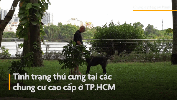 Chó không rọ mõm chạy rông trong chung cư cao cấp ở TP.HCM
