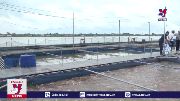 Điểm tựa cho nông dân làm giàu chính đáng
