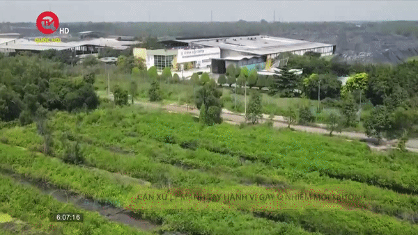 Nhức nhối tình trạng ô nhiễm tại khu xử lý chất thải rắn Tây Bắc, TPHCM