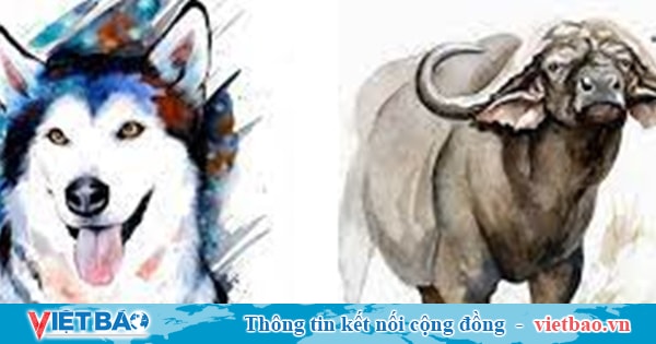 Tử vi tuần mới từ 17-23/1/2022 của 12 con giáp - Việt Báo