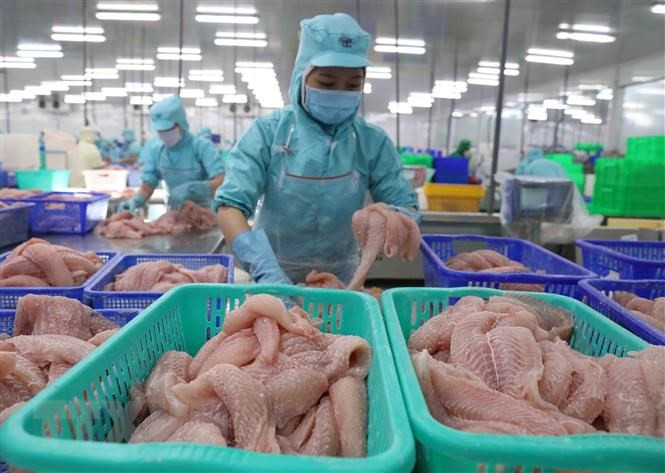 Mỹ công bố 2 doanh nghiệp cá tra Việt Nam được hưởng thuế suất 0%