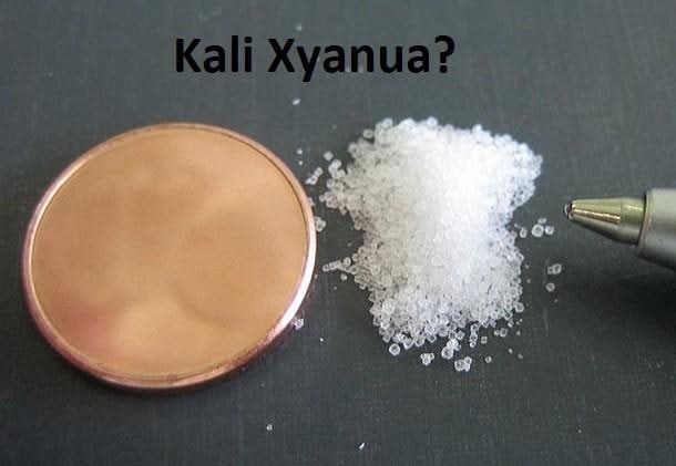 Vụ con gái đầu độc cha bằng xyanua: 2 cha con không nhìn mặt nhau