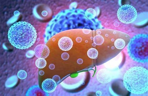 Phát hiện mới về nguyên nhân gây viêm gan bí ẩn