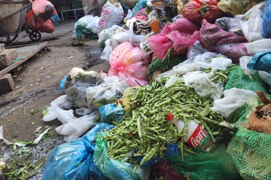 Rác thải nhựa, xác động vật không phân loại ngập ngụa các bãi tập trung