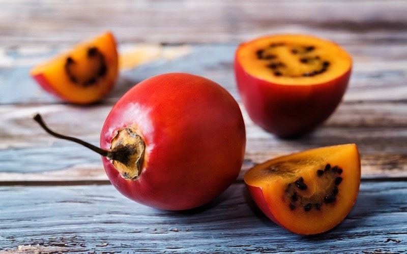 Công dụng tuyệt vời của cà chua thân gỗ