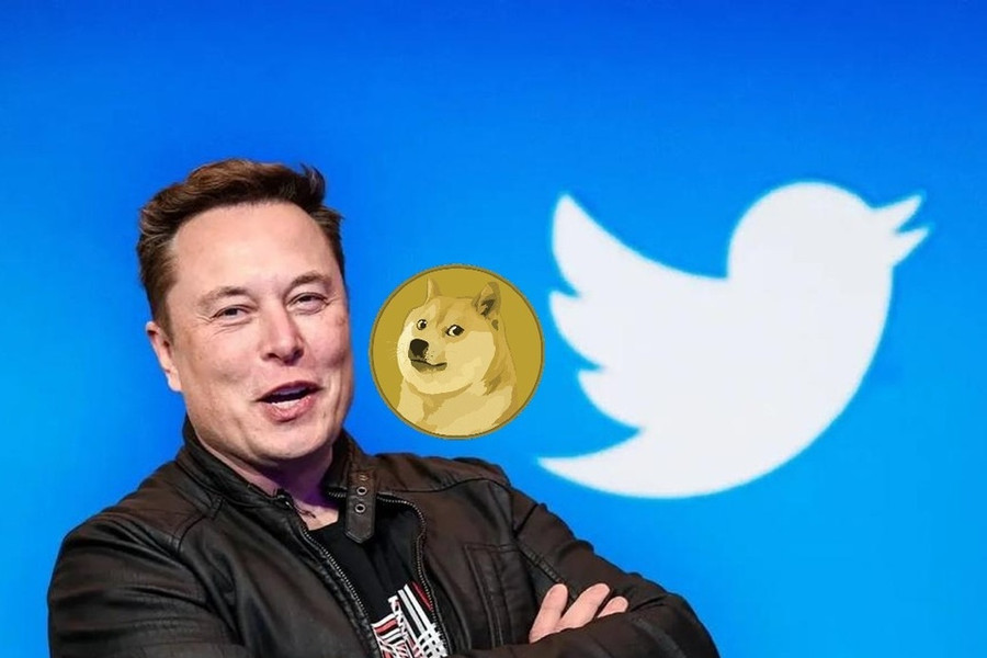 Memecoin đồng loạt tăng giá khi Elon Musk sở hữu Twitter