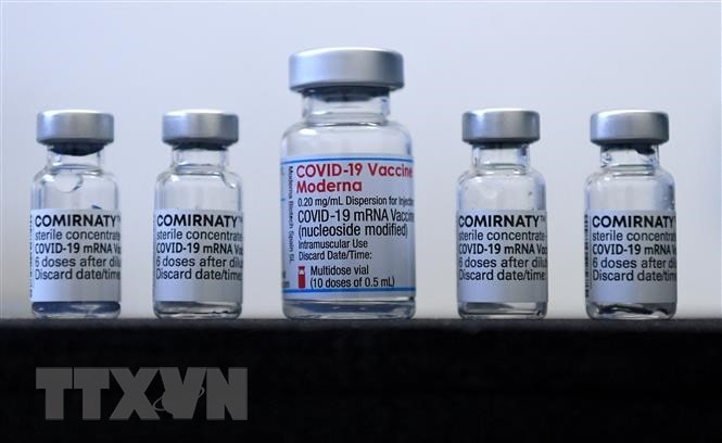 Australia đẩy mạnh phát triển vaccine công nghệ mRNA thế hệ tiếp theo