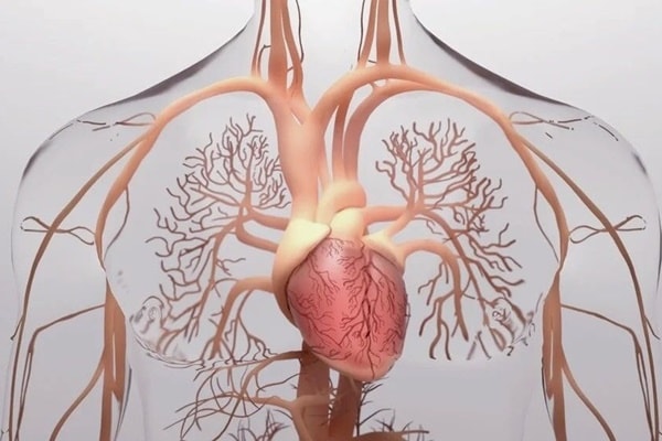 Nhiễm đậu mùa khỉ có thể dẫn đến viêm cơ tim không?