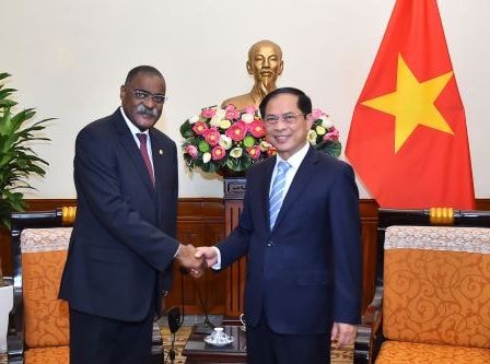 Bộ trưởng Bùi Thanh Sơn tiếp Quốc vụ khanh Bộ Ngoại giao Angola Domingos Vieira Lopes