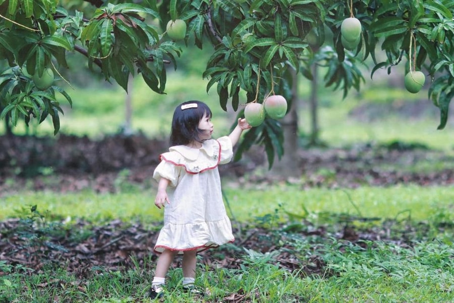 Khám phá 'xứ sở xoài tiên' cùng thiên thần nhỏ xinh xắn