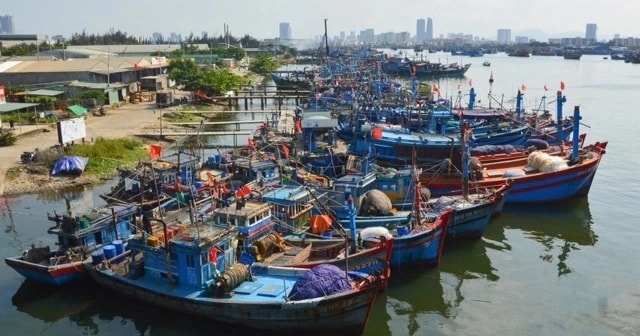 Bộ Nông nghiệp đang 'chạy nước rút' gỡ thẻ vàng cho thủy sản