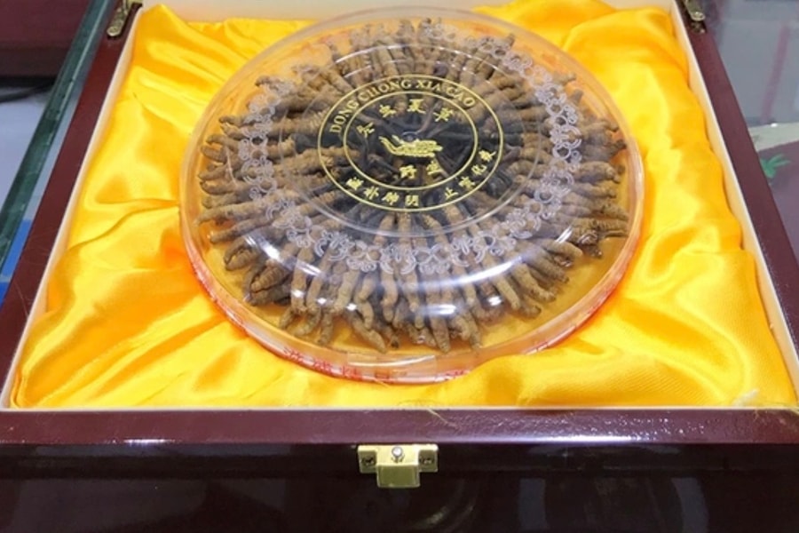 Những thú chơi đốt tiền tỷ ngày Tết của nhà giàu Việt