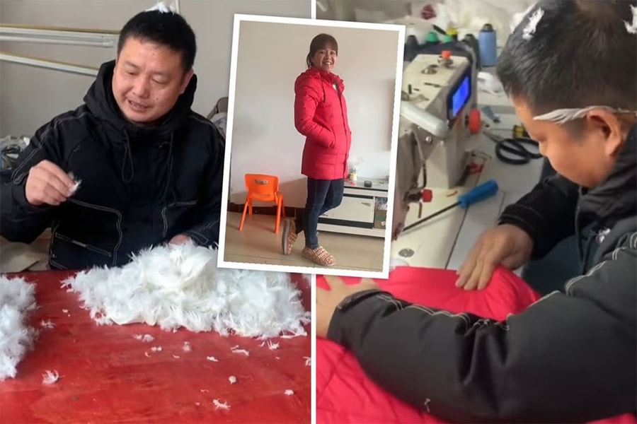 Người đàn ông nuôi cả đàn ngỗng chỉ để may áo khoác tặng vợ
