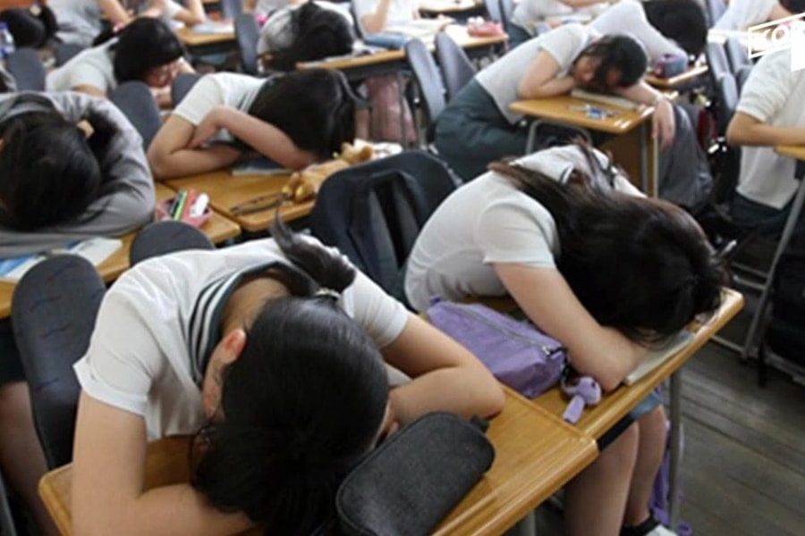 Học sinh Hàn Quốc: Ngủ 5 tiếng mỗi ngày thì đừng mơ vào đại học