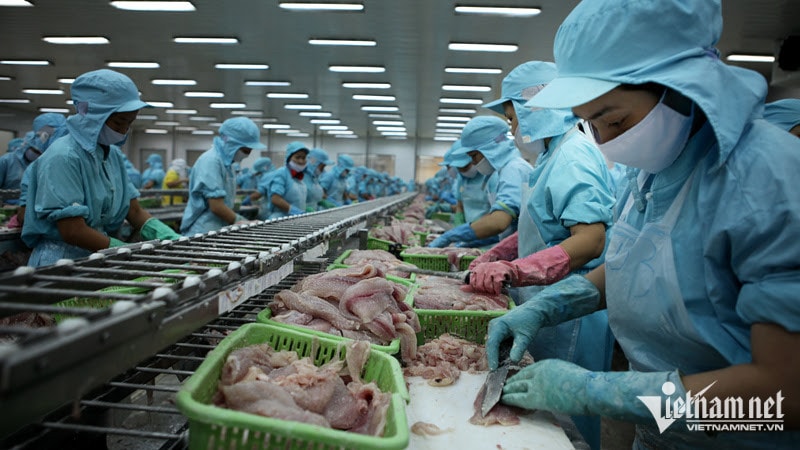 Sau kỷ lục tỷ USD, vì sao xuất khẩu cá tra sang Mỹ chỉ còn 10 triệu USD tháng 1?