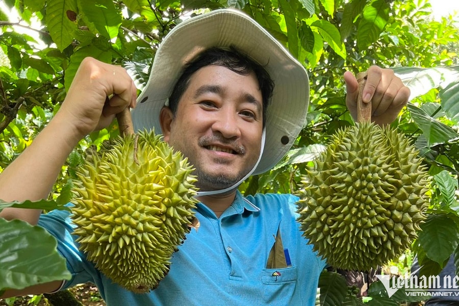 Xuất khẩu sầu riêng sang Trung Quốc: Động thái mới từ Thái Lan cạnh tranh với hàng Việt