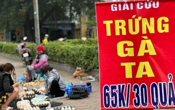 Đề nghị không mua trứng gia cầm bán 'giải cứu'