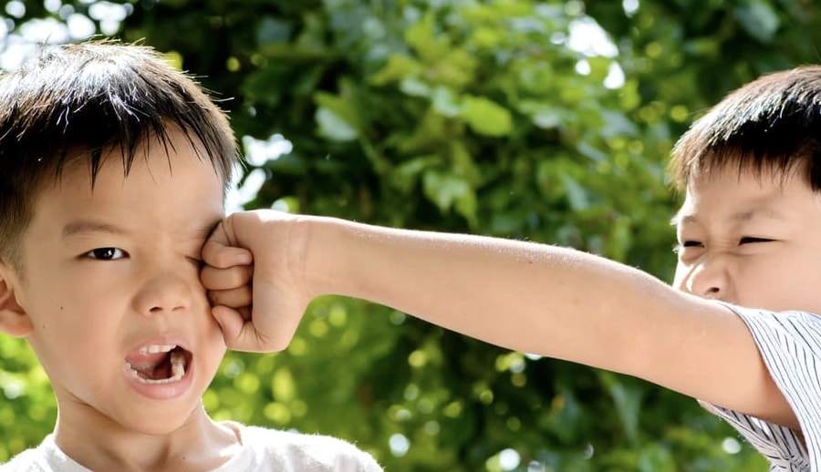 Phải làm sao khi hai đứa con trai suốt ngày đánh nhau, cãi vã?
