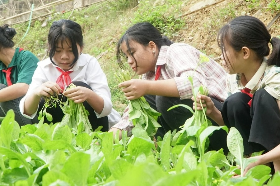 Hoàn trả gần 67 tỷ đồng chênh lệch mức thu học phí