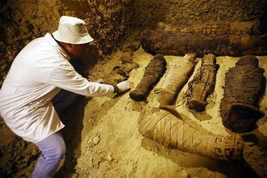 Ai Cập phát hiện xác ướp của hơn 2.000 đầu cừu từ thời kỳ Ptolemaic