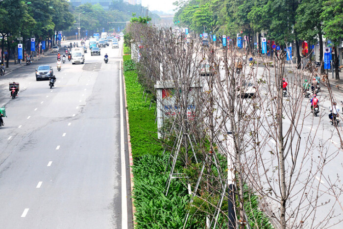 Kiến nghị xử lý nhiều cán bộ, lãnh đạo Hà Nội liên quan vụ nâng giá cây xanh