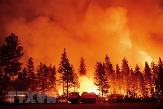Xác định mối liên hệ về lượng giữa khủng hoảng khí hậu và cháy rừng