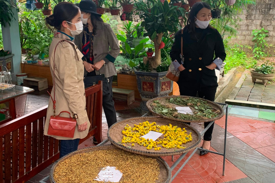 Bác sĩ Trần Bảo Quốc và ước mơ vườn dược liệu cho người Việt