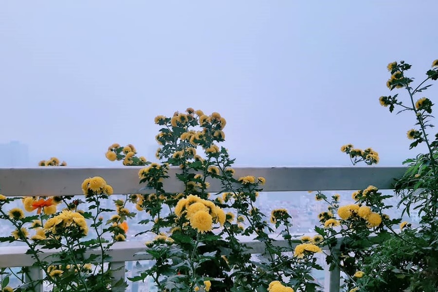 Vợ sắp cưới tuyên bố hủy hôn chỉ vì lý do này
