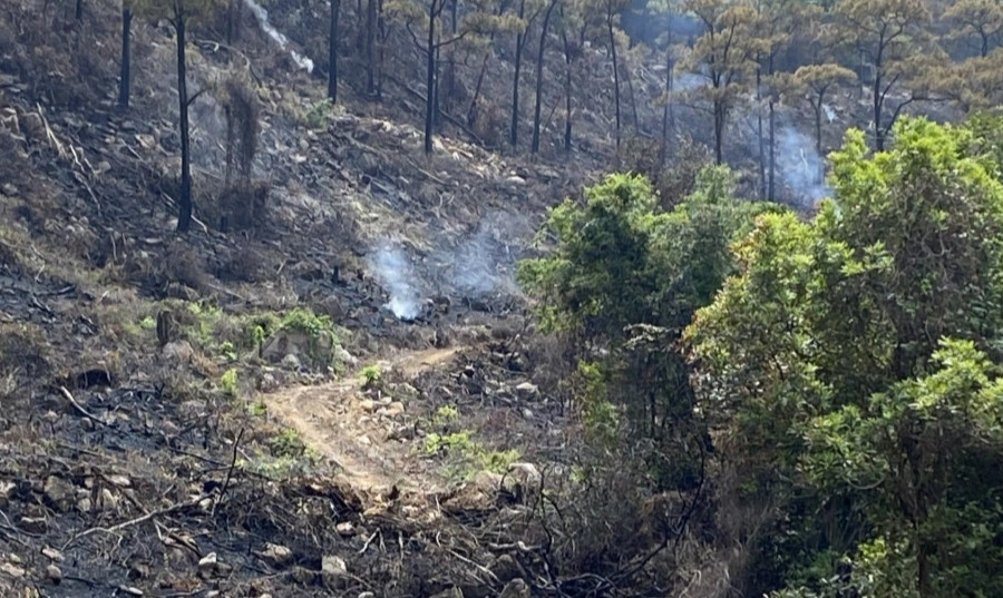 Hai người thiệt mạng do cháy rừng ở Quảng Ninh