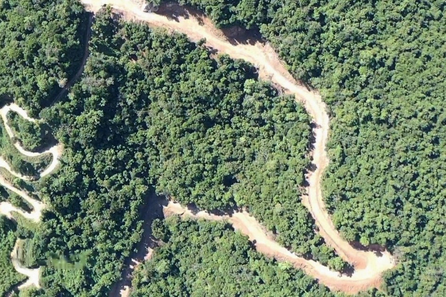 Cận cảnh khu vực phá rừng làm đường được Phó Thủ tướng yêu cầu làm rõ