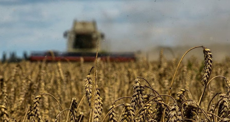 EU cho phép các nước thành viên kéo dài lệnh 'cấm cửa' ngũ cốc Ukraine