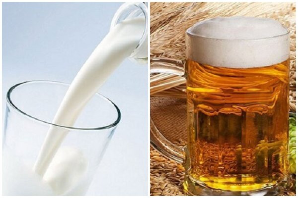 Bia kết hợp với sữa tươi có tác dụng gì?