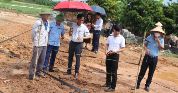 Đề xuất khai quật khẩn cấp mộ gạch vừa phát hiện ở Hà Nội