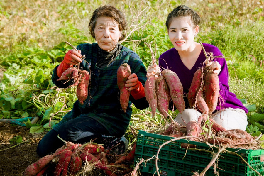 Cô gái Việt bỏ chuỗi cửa hàng sang Nhật làm nông, chinh phục mẹ chồng khó tính