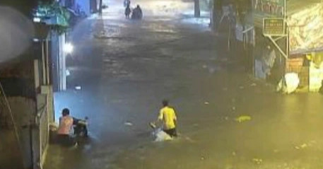 Cây đổ, đường ngập sau trận mưa dông ở TPHCM