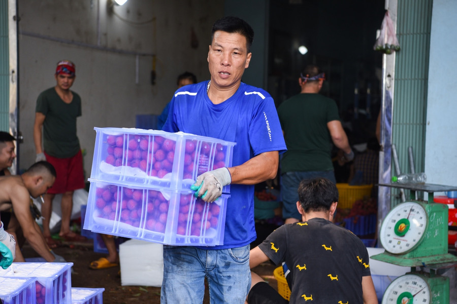 Người lao động thời vụ đổ xô về 'thủ phủ' vải Bắc Giang, kiếm tiền triệu mỗi ngày