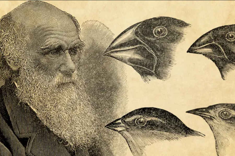 Quốc gia nào cấm Thuyết tiến hóa Darwin trong chương trình học?