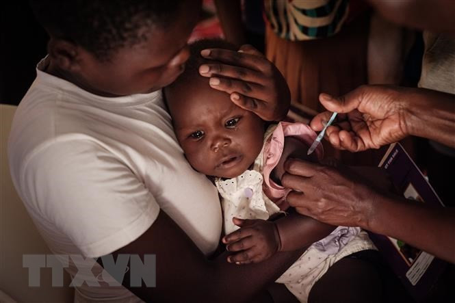 WHO: Vaccine đầu tiên phòng chống sốt rét an toàn và hiệu quả