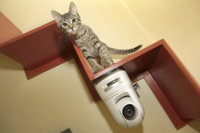 Lắp camera có thể giúp bảo đảm an ninh, nhưng vẫn có những vị trí nên tránh?