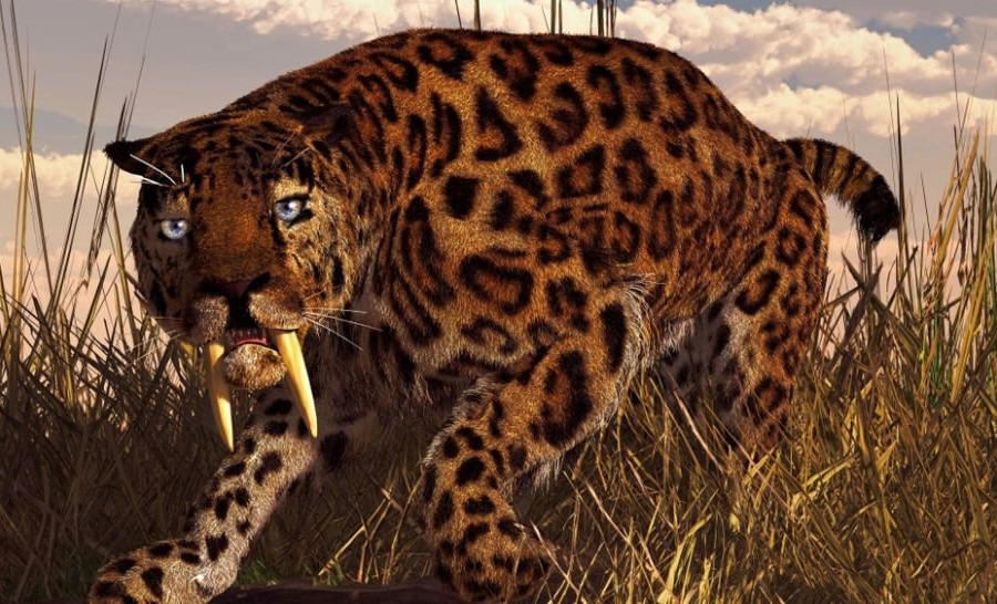Hóa thạch 5 triệu năm tuổi tiết lộ về 2 loài mèo răng kiếm mới ở Nam Phi